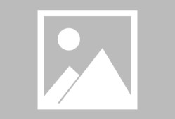 万博体育manbet app关于明尼苏达森林狼训练开放日，清晨迎来里程碑引欢呼，欧联在即，细节决定成败的信息